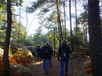 2016-10-09 Les gorges d Apremont 0028